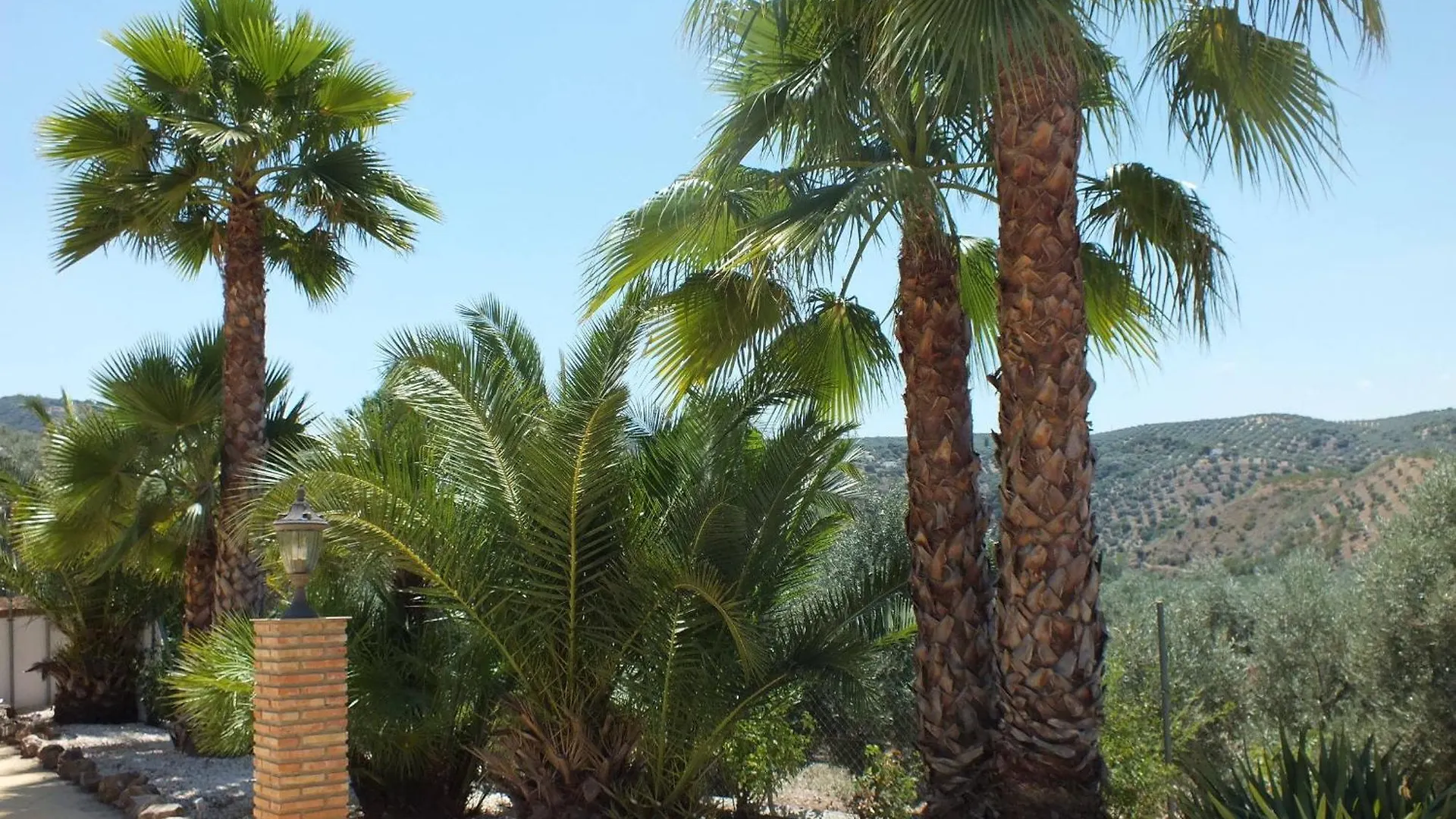 Casa Pino Solo Apartment Iznajar