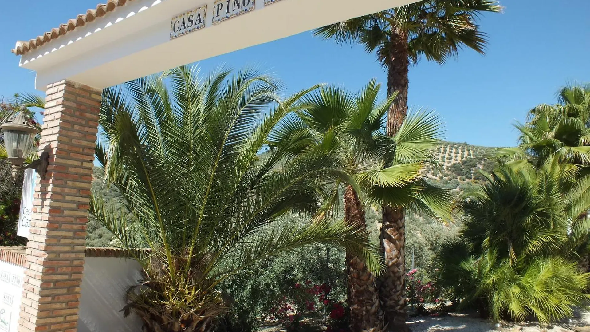Casa Pino Solo Apartment Iznajar